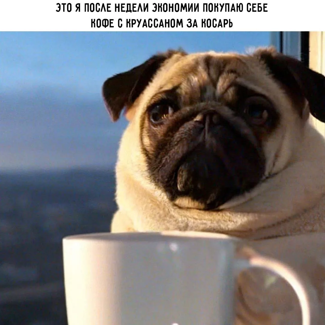 Ставь лайк! ❤️