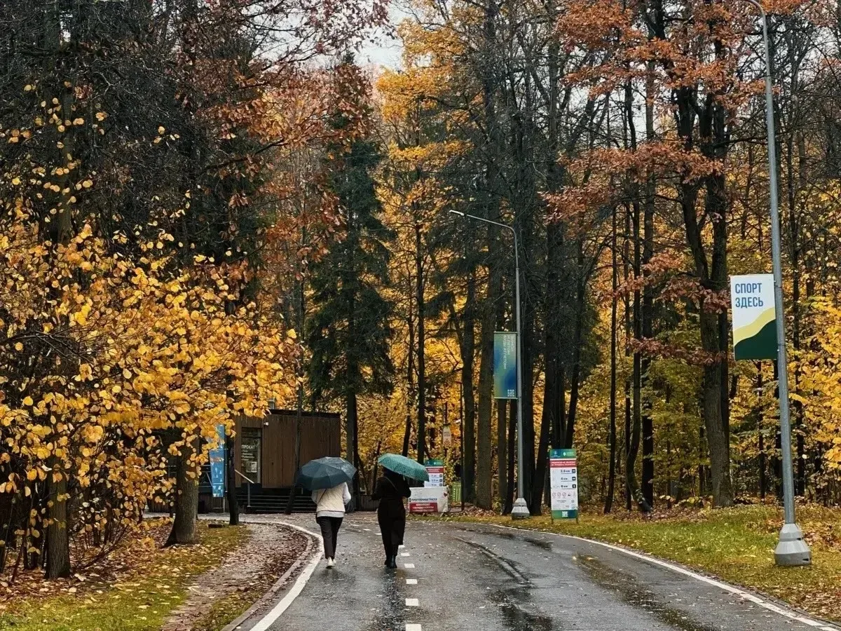 Осень в Лазутенке ❤️