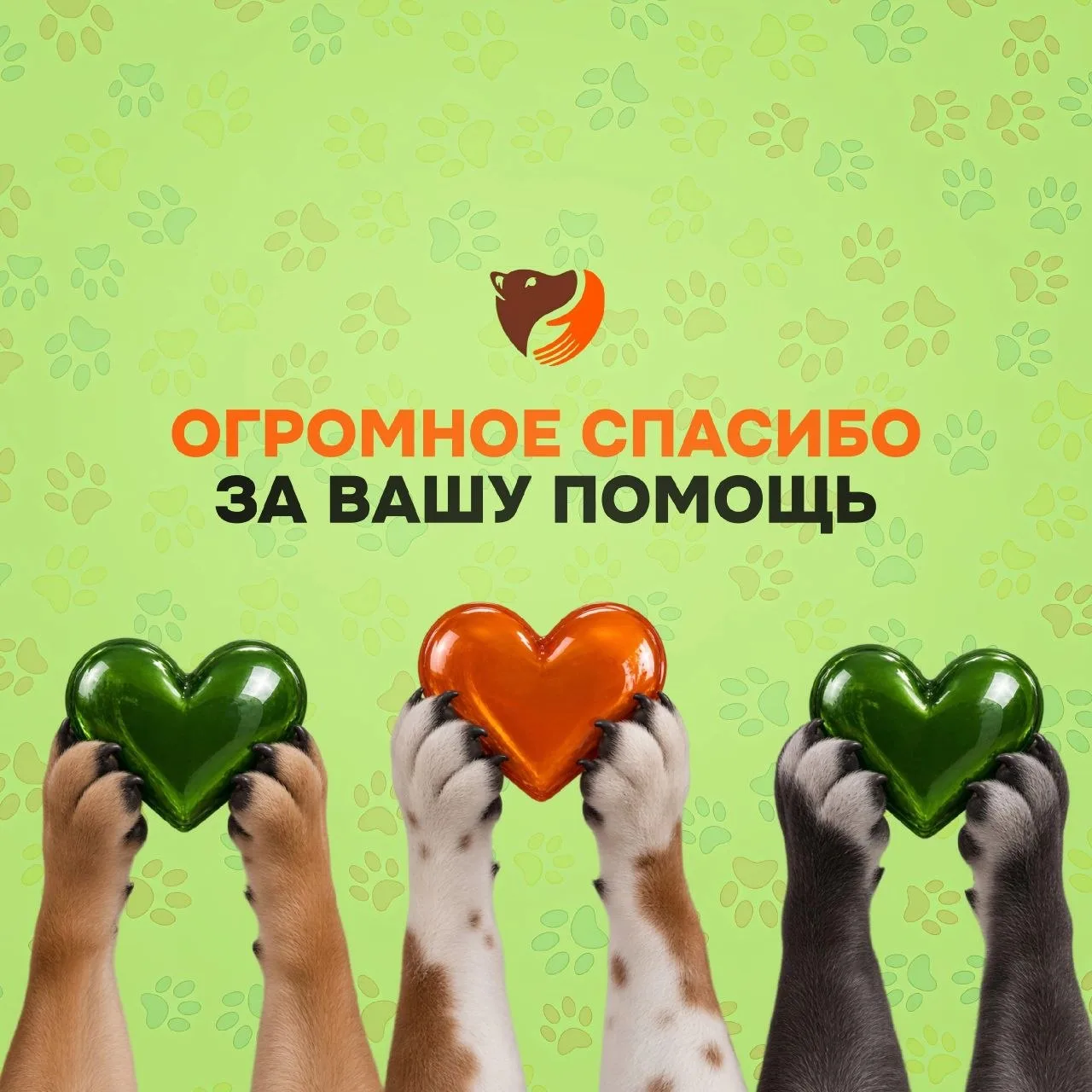 Нашему приюту и хвостикам повезло — у нас есть Евгений! ❤ Вчера он в очередной раз прим...