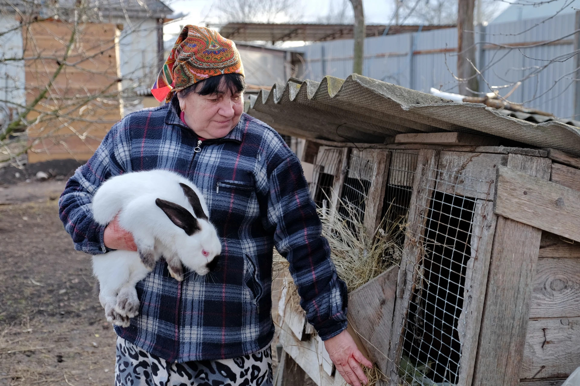 🐰 К бабушкиным кроликам