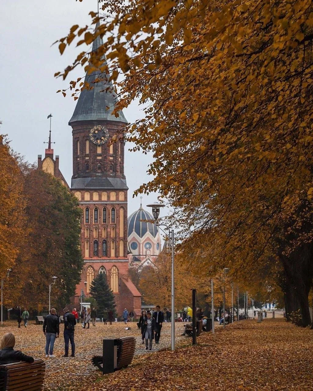 Только посмотрите, какой прекрасный осенний Калининград 🍂
