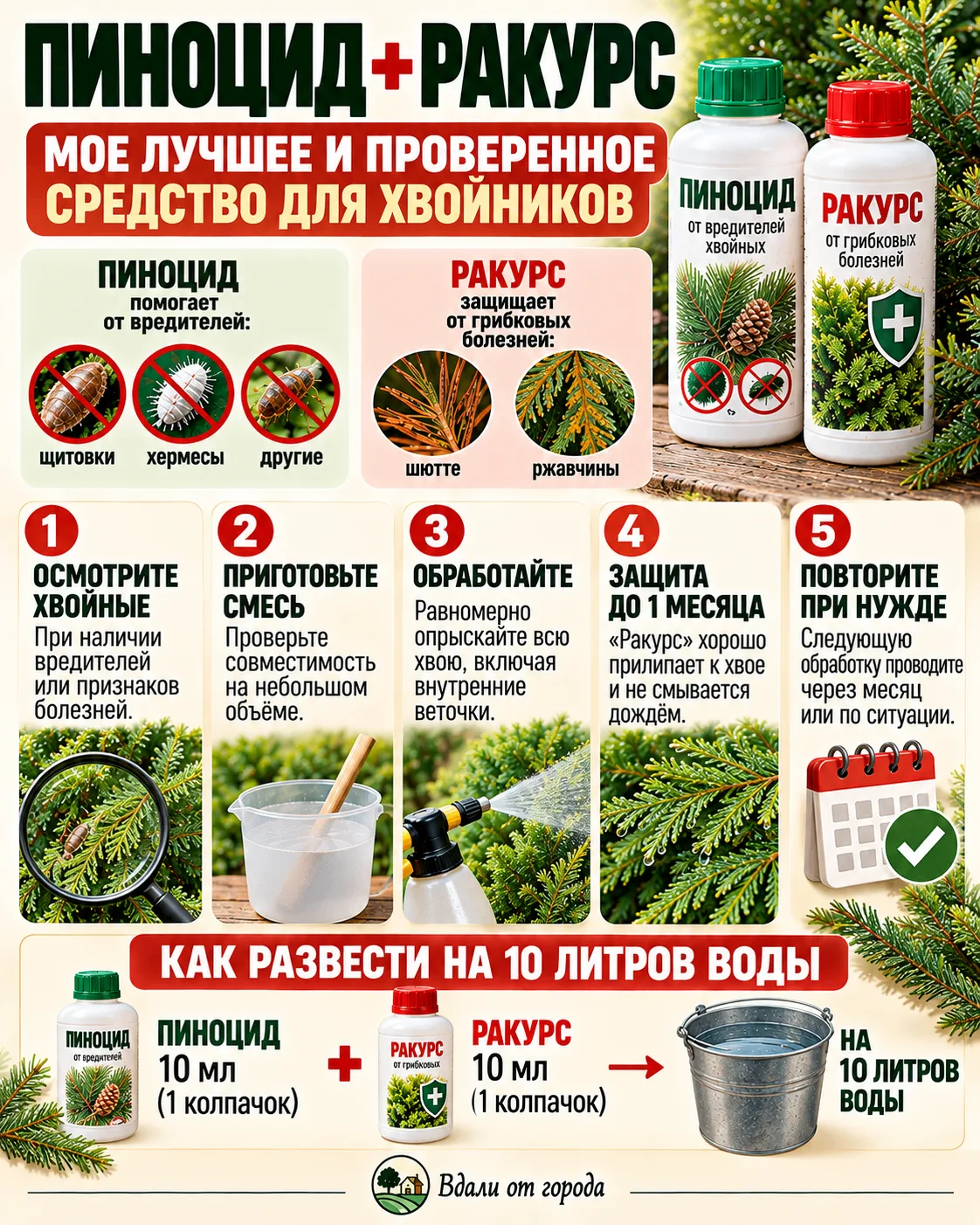 🌿 МОЯ ШПАРГАЛКА ПО ТУЯМ: ЧЕМ СПАСАЮ ЖИВУЮ ИЗГОРОДЬ