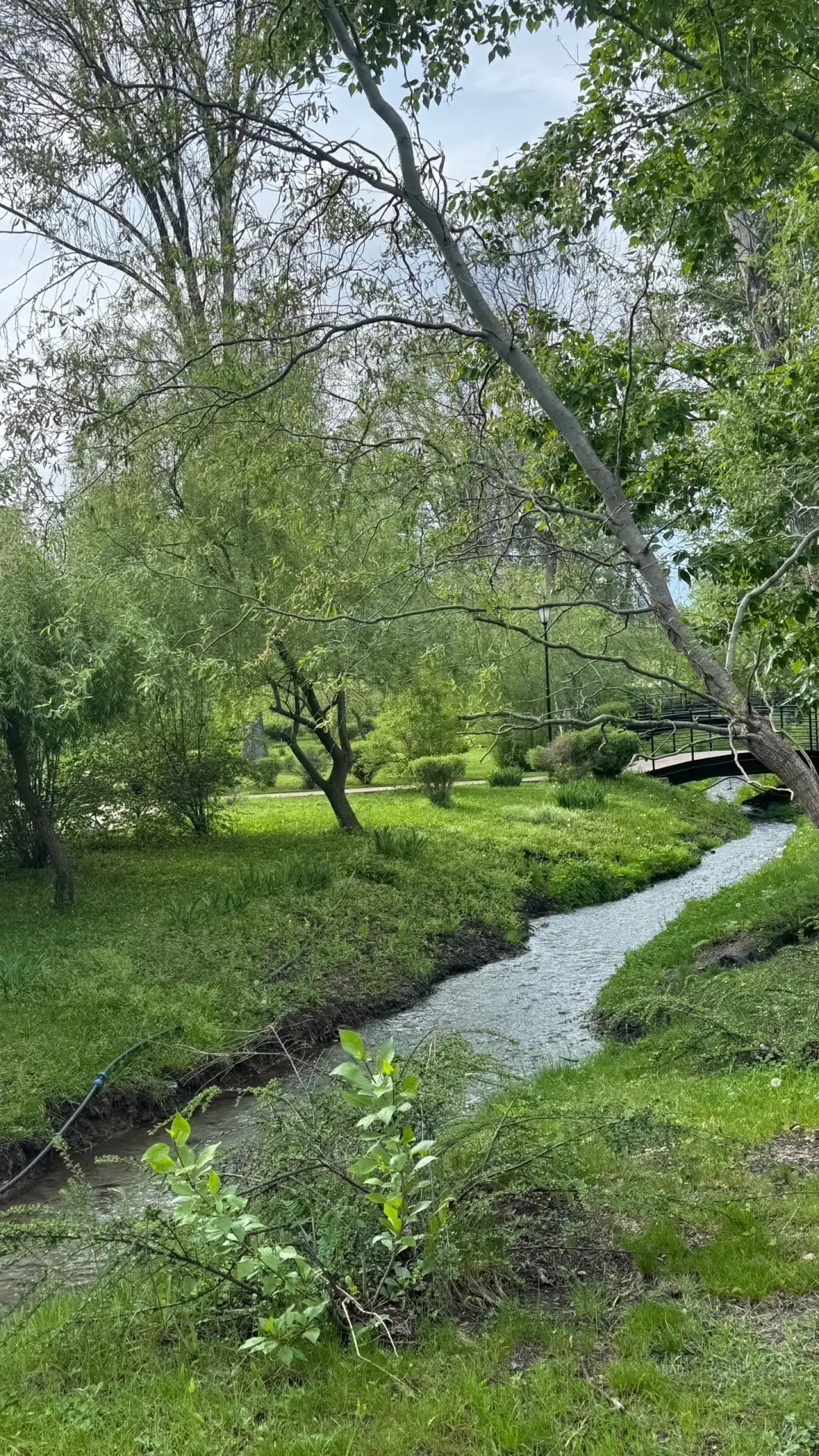 Присылайте Ваши фото в "Предложить пост"