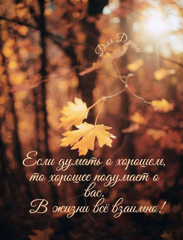Женские открытки💝