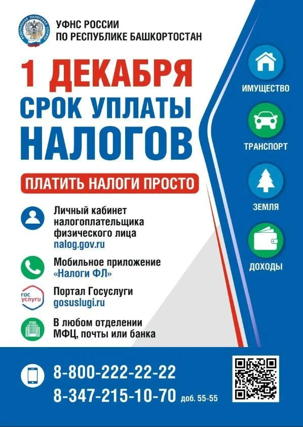 1 декабря - срок уплаты налогов!