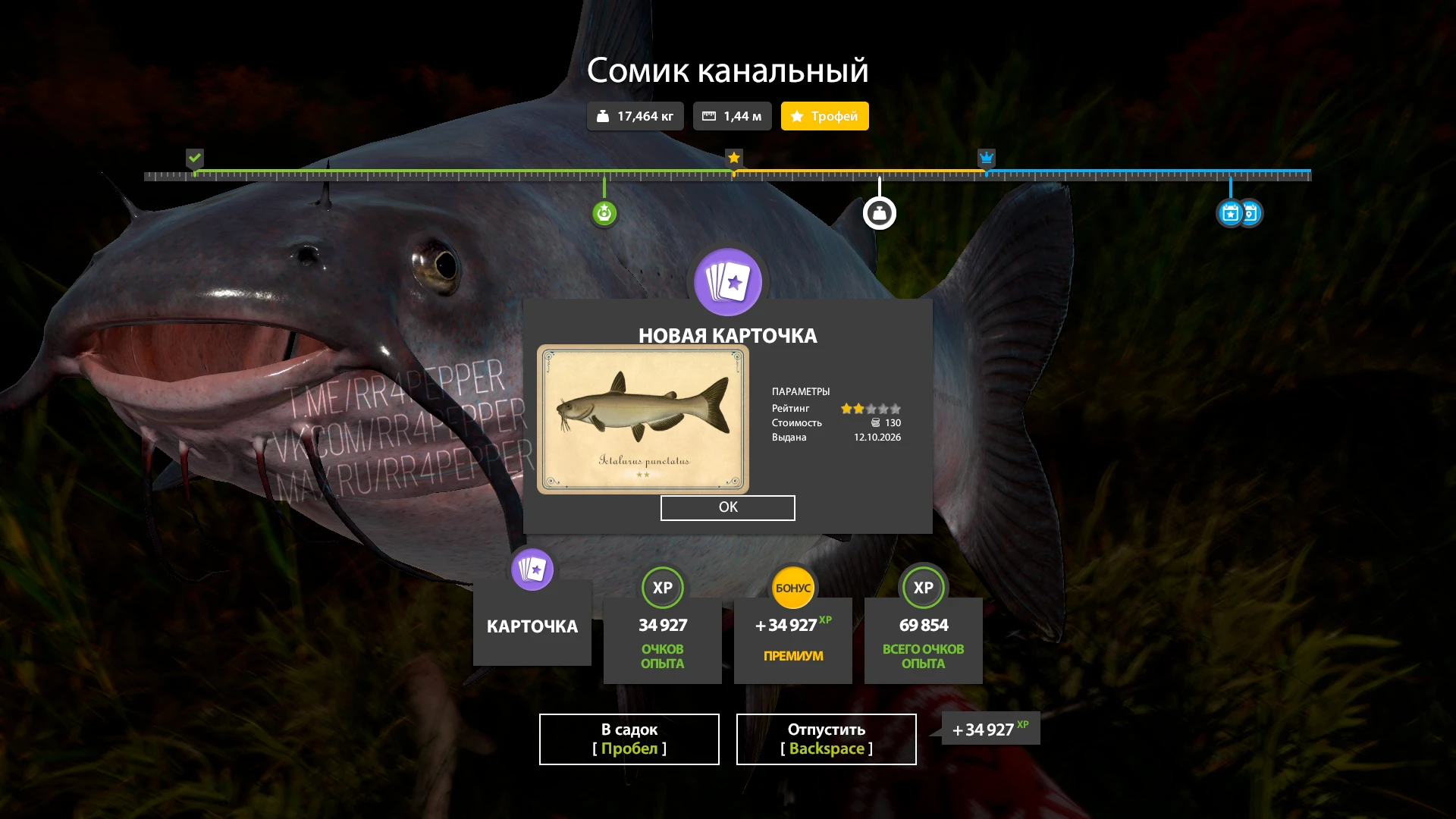 #лосиное@rr4pepper
