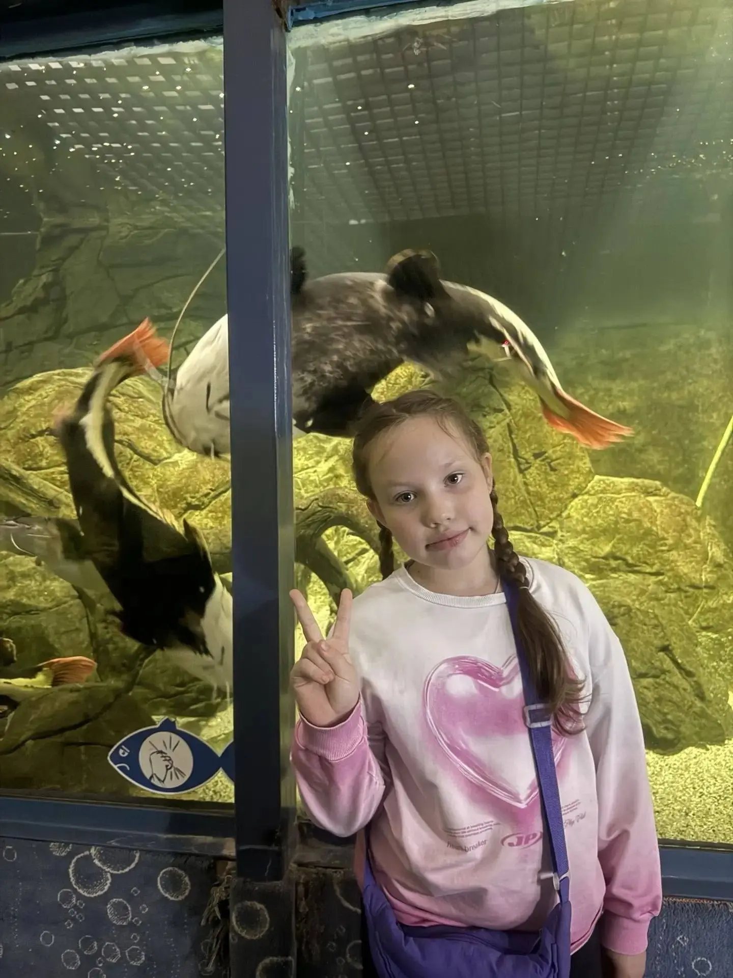 🐠 КАЗАНЬ + ОКЕАНАРИУМ
