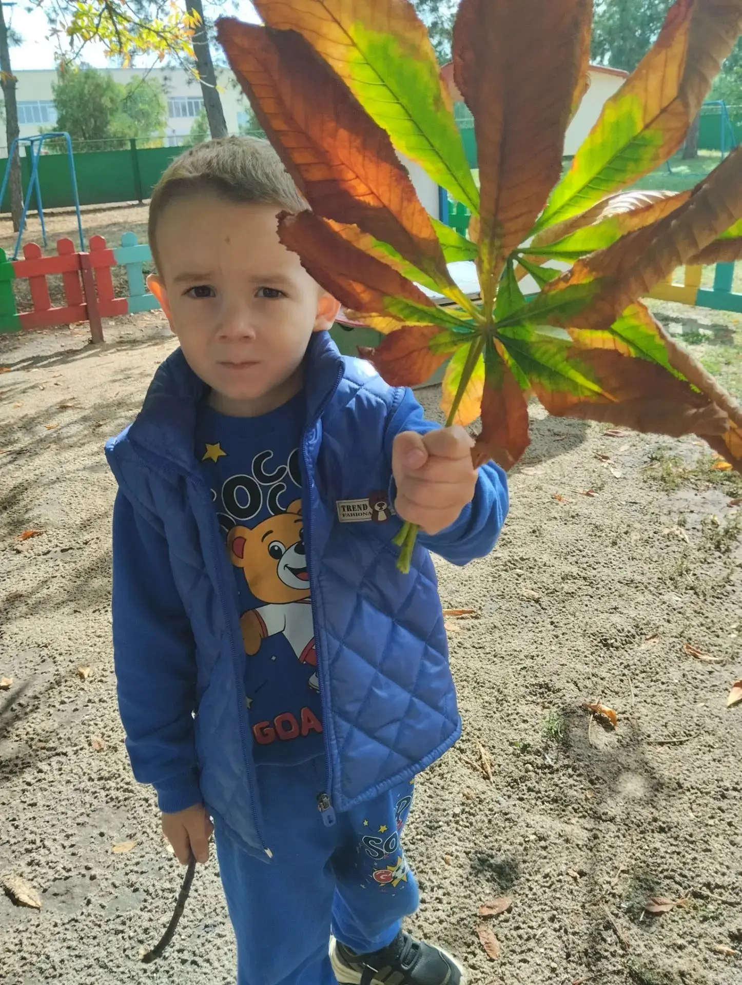 🍂 🍁 Осенняя прогулка и творчество! 🌳