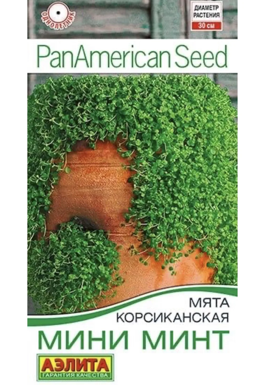 Мята мини «Корсиканская». Семена