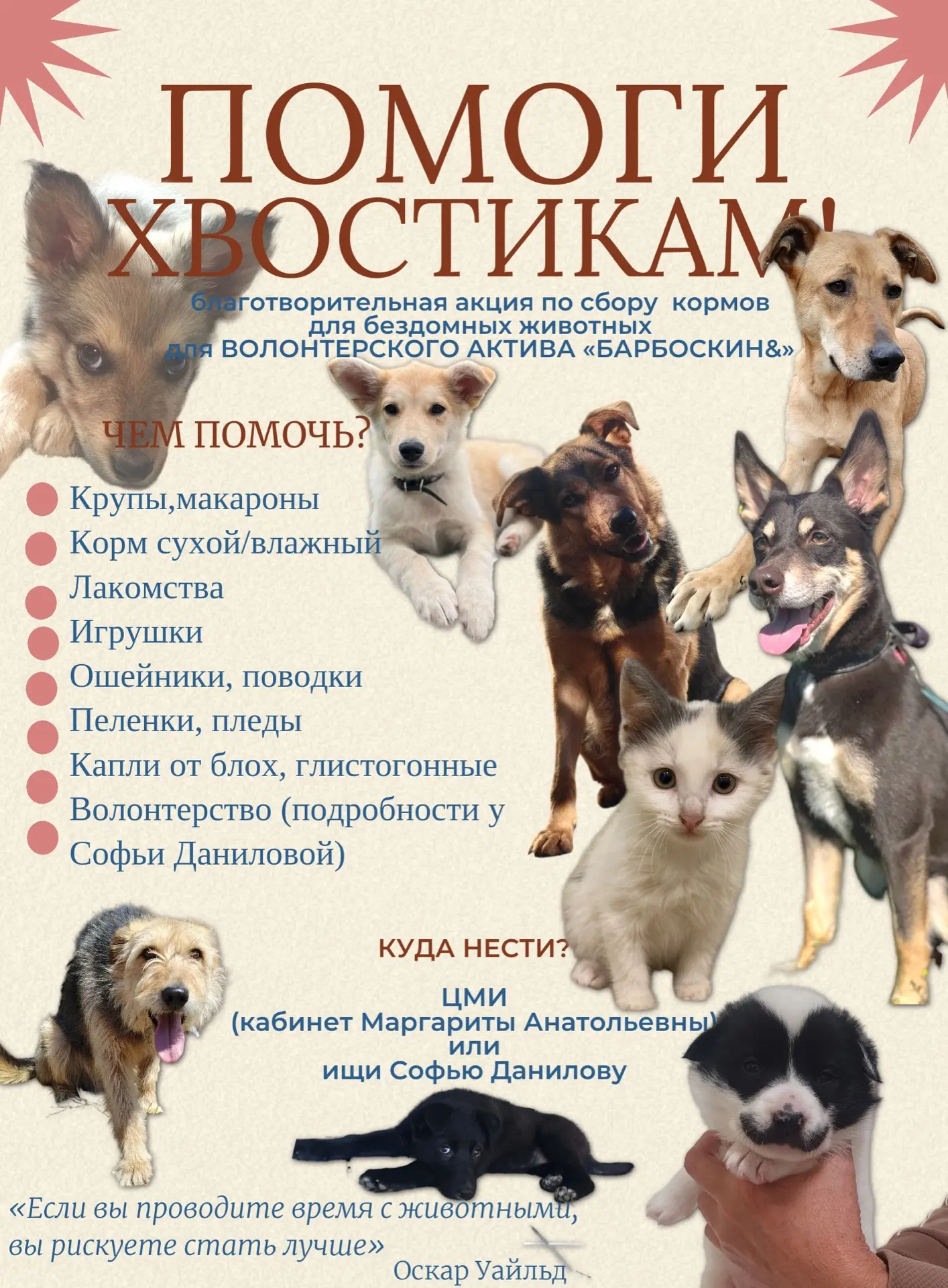 🐾🐶 СДЕЛАЙ ДОБРОЕ ДЕЛО: ПОМОГИ ХВОСТИКАМ! 🐱🐾