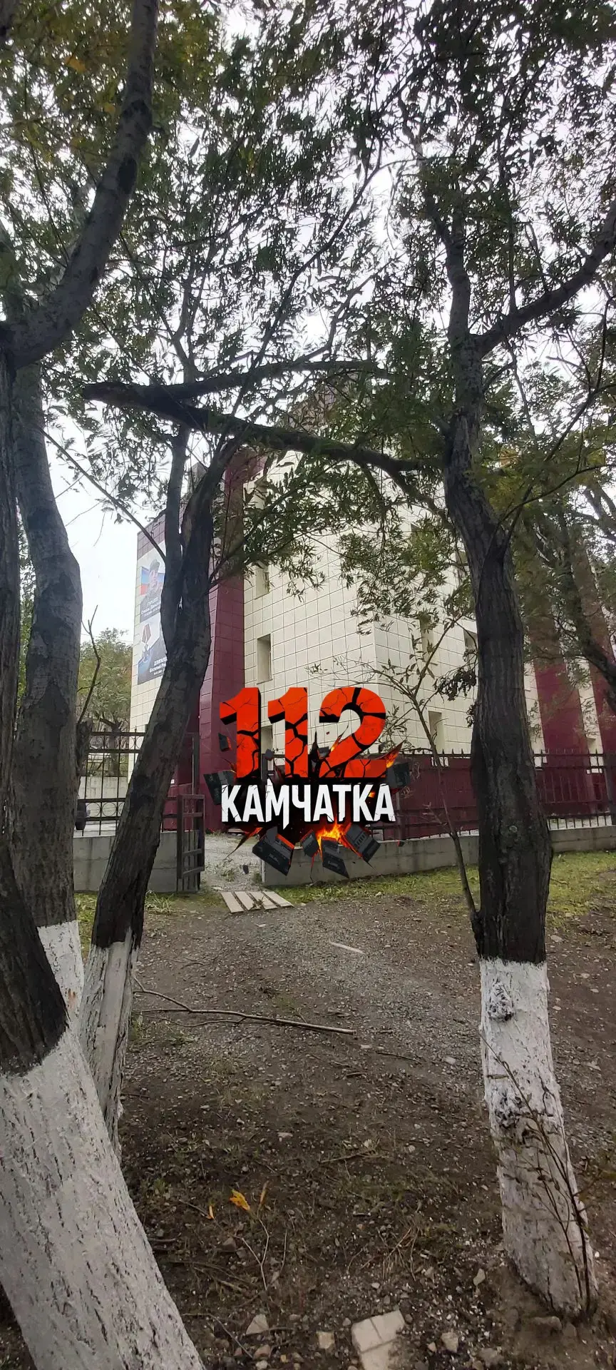 Дерево сломалось и зависло над проходом: под ним ходят дети