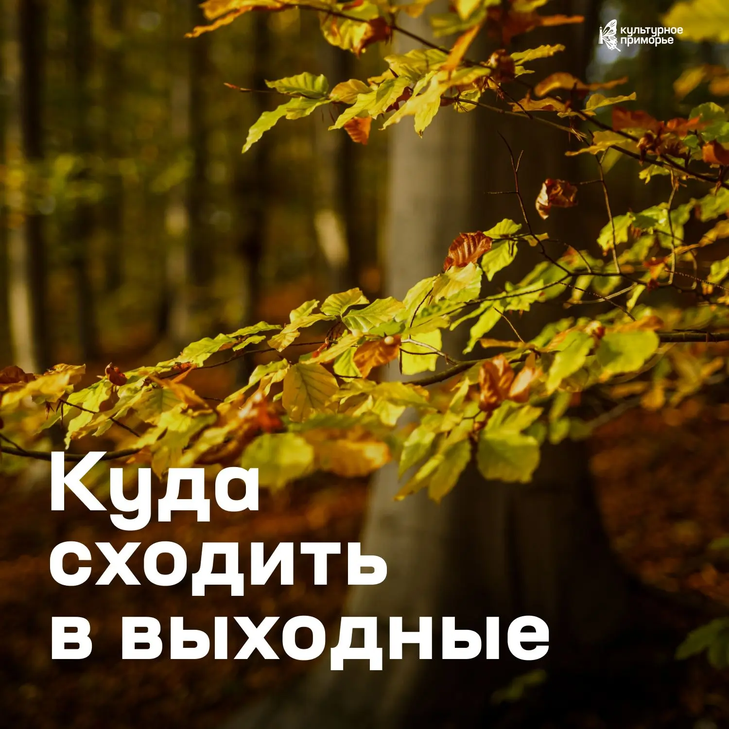 Строим планы на вечер и выбираем, куда отправиться за новыми впечатлениями в субботу и ...