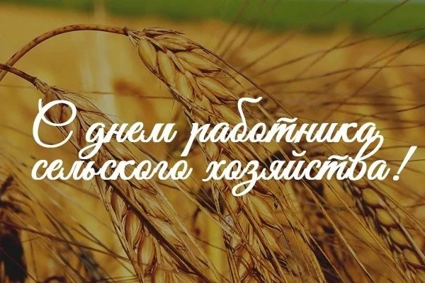 День работника сельского хозяйства: поздравляем аграриев и ветеранов