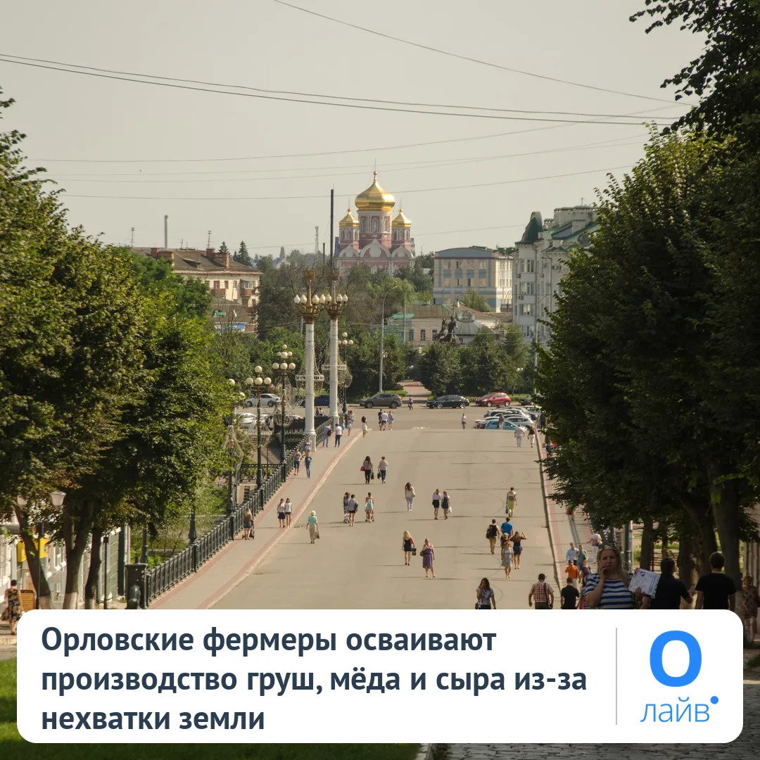 🌱 Орловские фермеры осваивают производство груш, мёда и сыра из-за нехватки земли