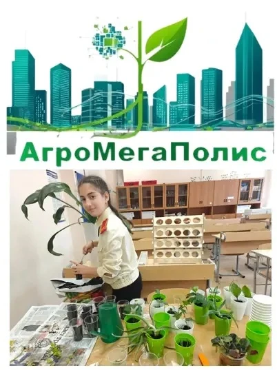 Детские инициативы в действии: проект «АгроМегаПолис» начинает воплощаться!