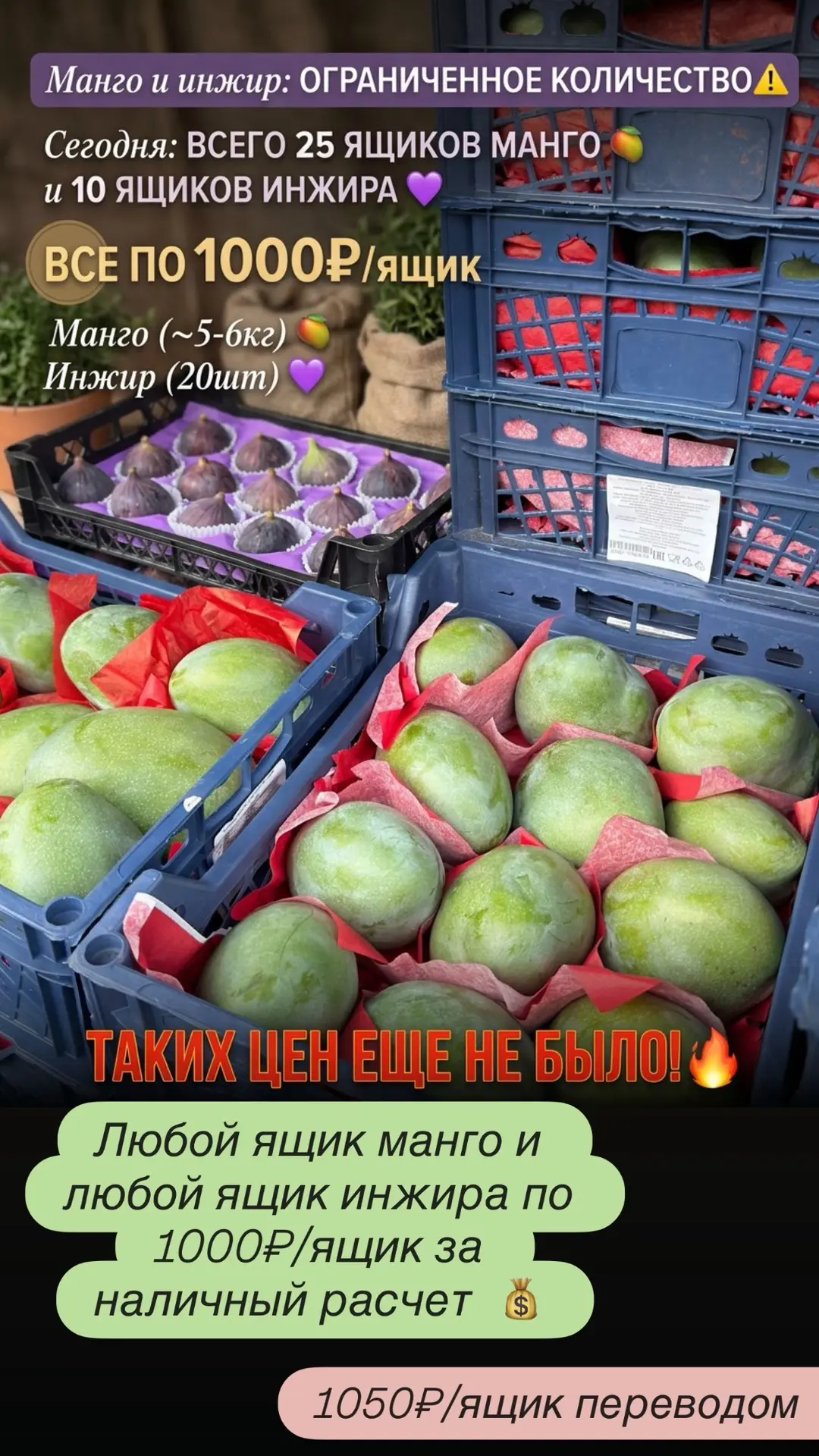 Любой ящик манго и любой ящик инжира по 1000₽/ящик ❗️