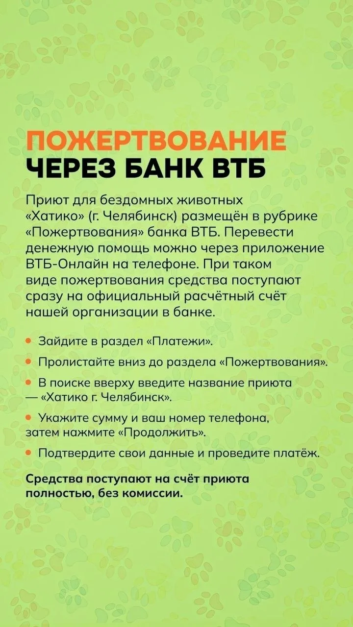 Приют для бездомных животных "Хатико" г.Челябинск размещен в рубрике «Пожертвования» ба...