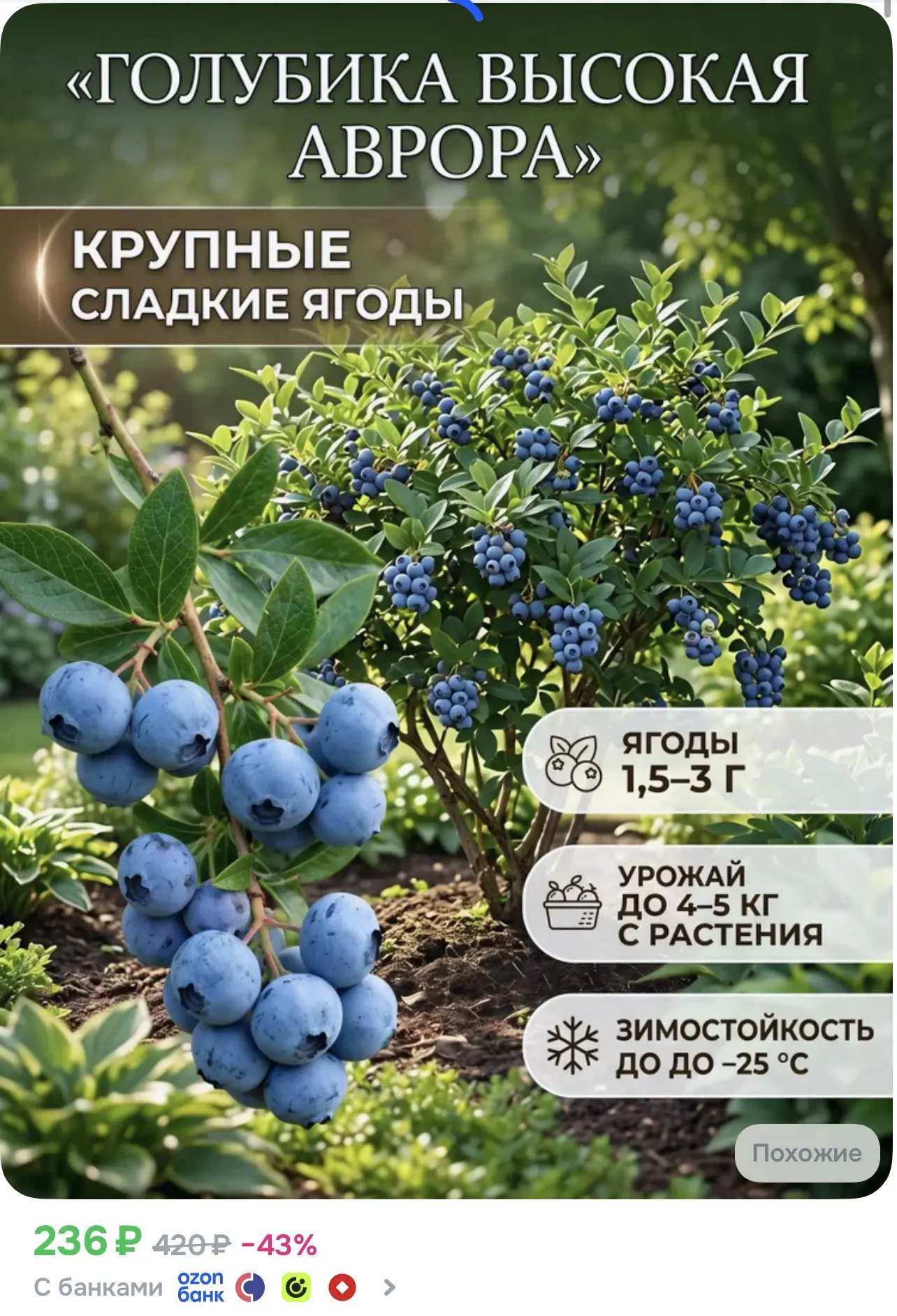 https://ozon.ru/t/OyxZln4