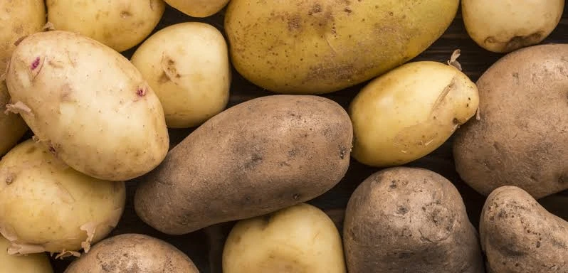 🥔 Картофель образует клубни даже в невесомости — это проверили на «Колумбии»