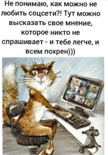Действительно, соцсети оказывают и психотерапевтический эффект 😂😉