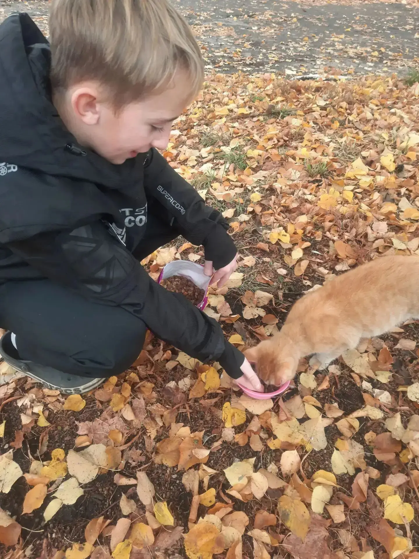 🐾Осенняя эстафета добра