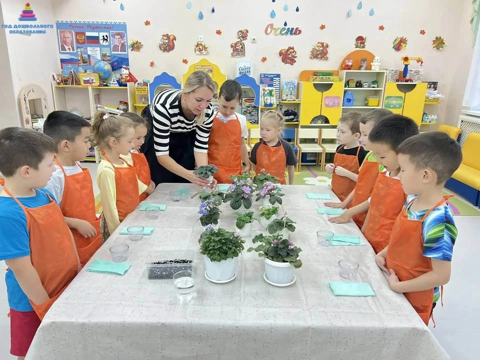 🌸 Наука в маленьких руках: фиалка осваивает фитильный полив!
