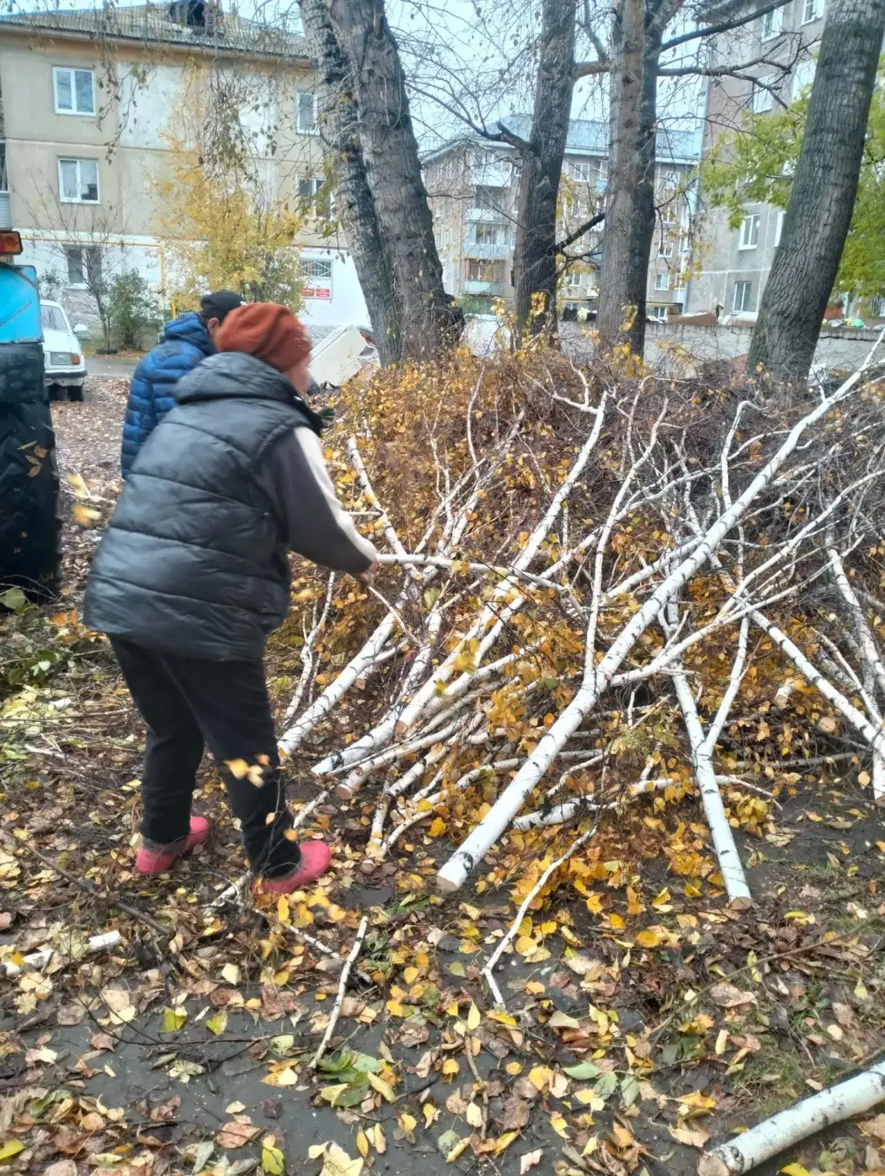 🌳 Красногвардейская, 19: проводится ⚙️механизированное дробление веток.