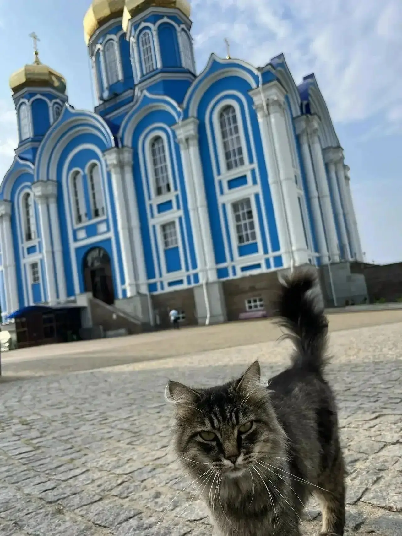 💫 КРУЖЕВО МОНАСТЫРЕЙ 💫