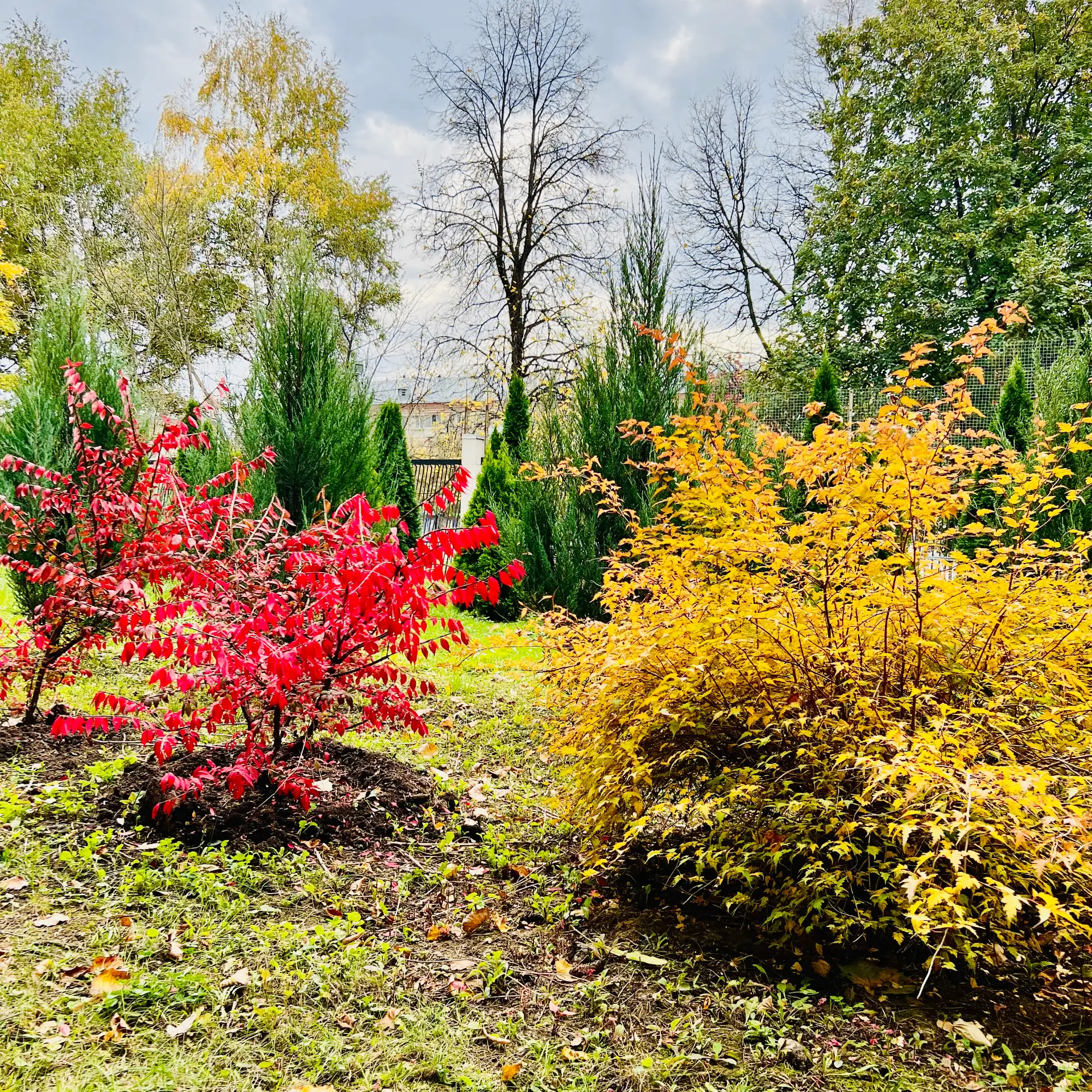 Осень в МИФИ — это отдельный вид искусства 🍂