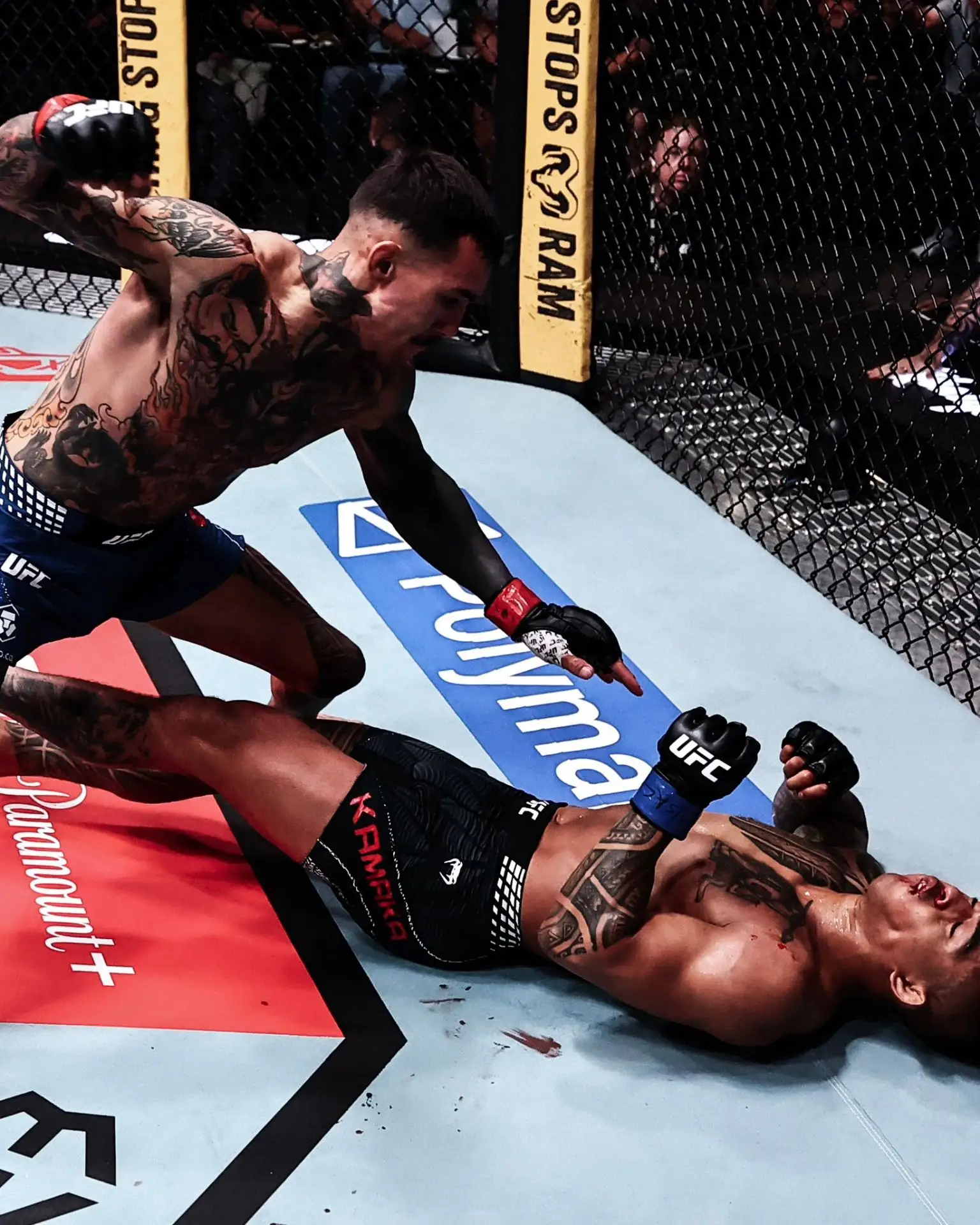 💬 Андре Фили о том, почему не наносил лишние удары после нокаута на #UFCVegas122: