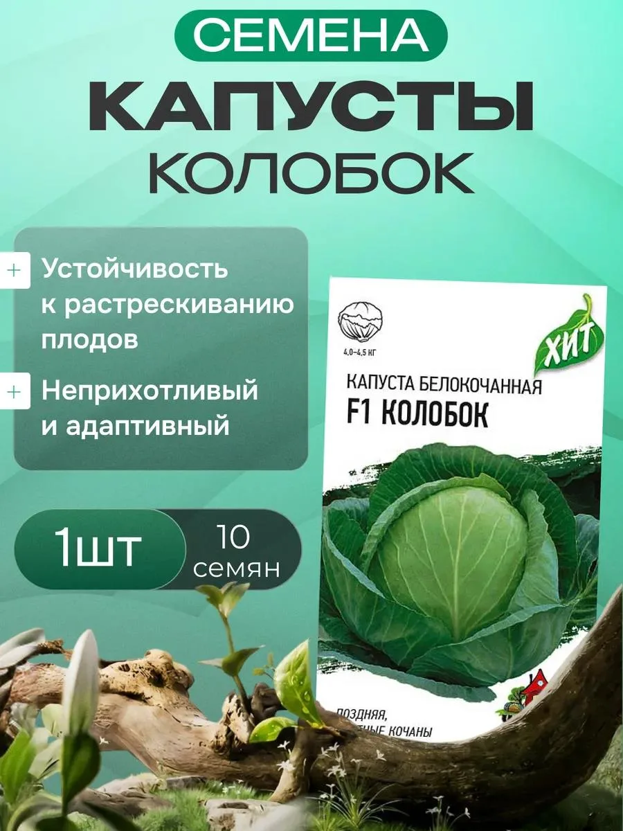 🔥 Семена капусты Колобок 1шт