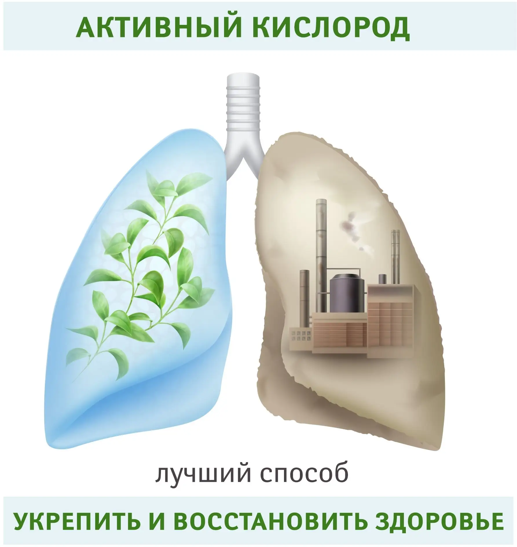 😖Часто органы испытывают хронический дефицит в получении кислорода. Это может быть свя...
