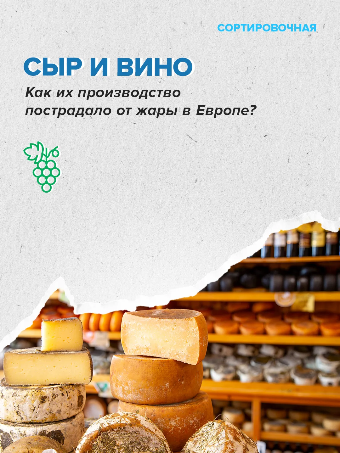 🙄 Шампанское станет крепче из-за изменения климата?