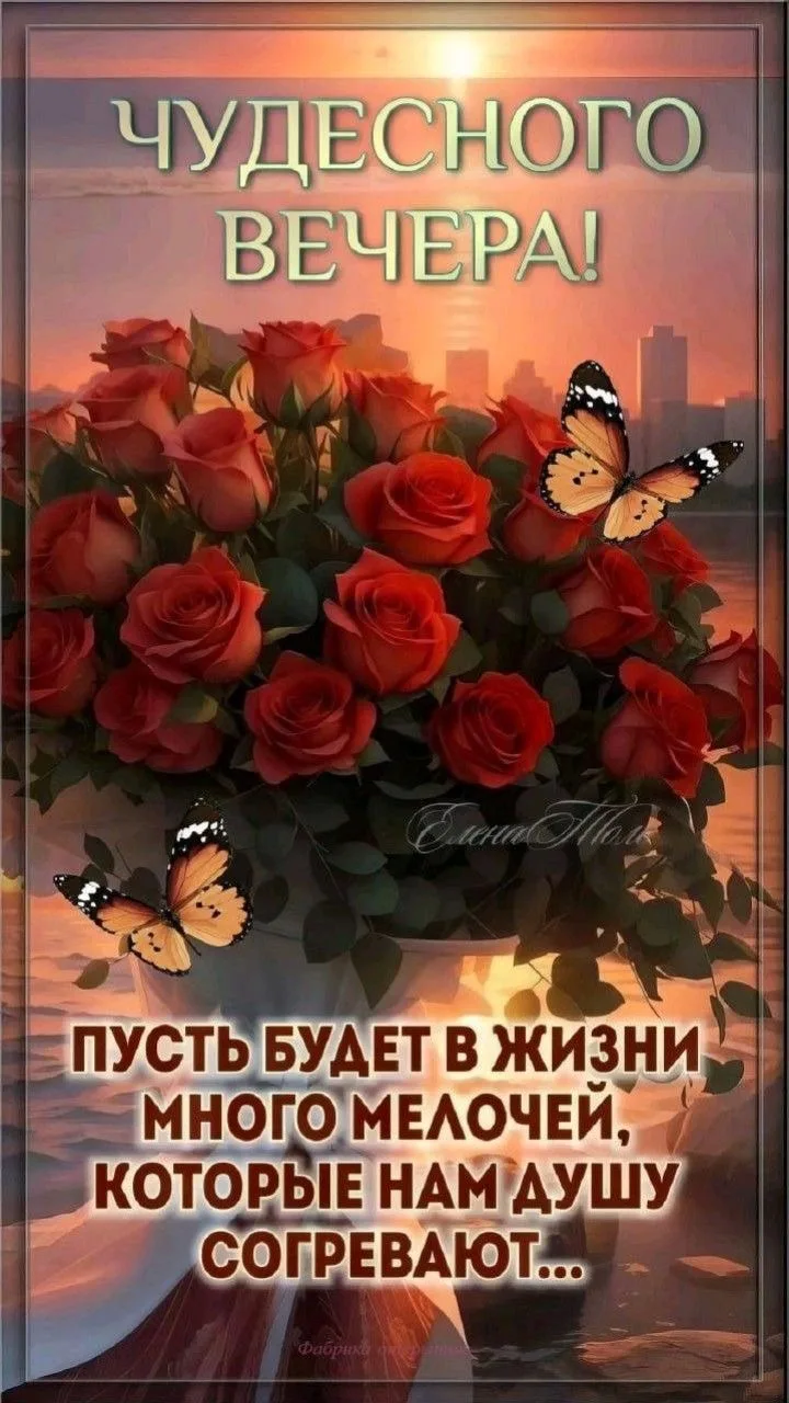 самые лучшие