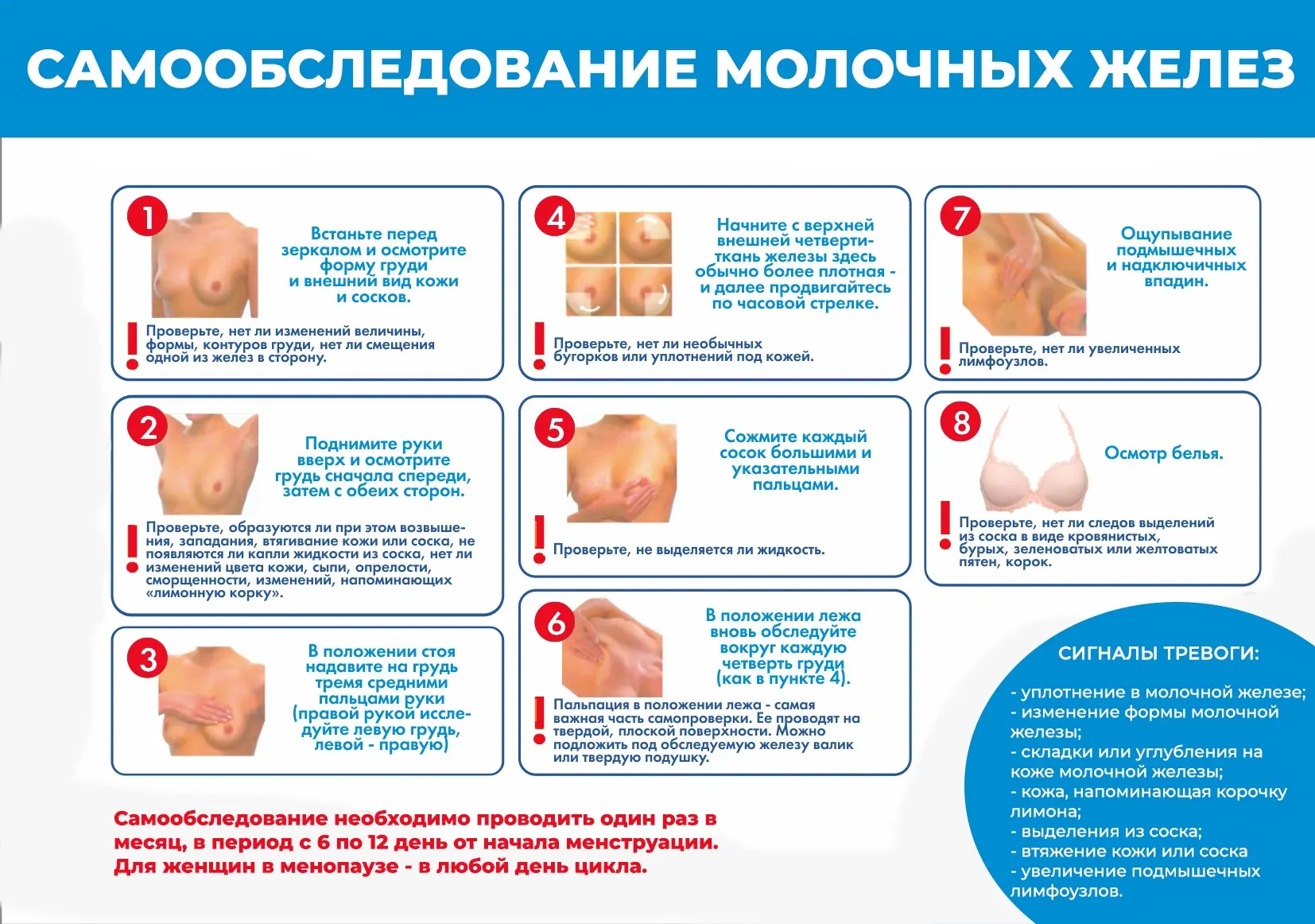 Самообследование — важно. Но диагноз ставит врач!