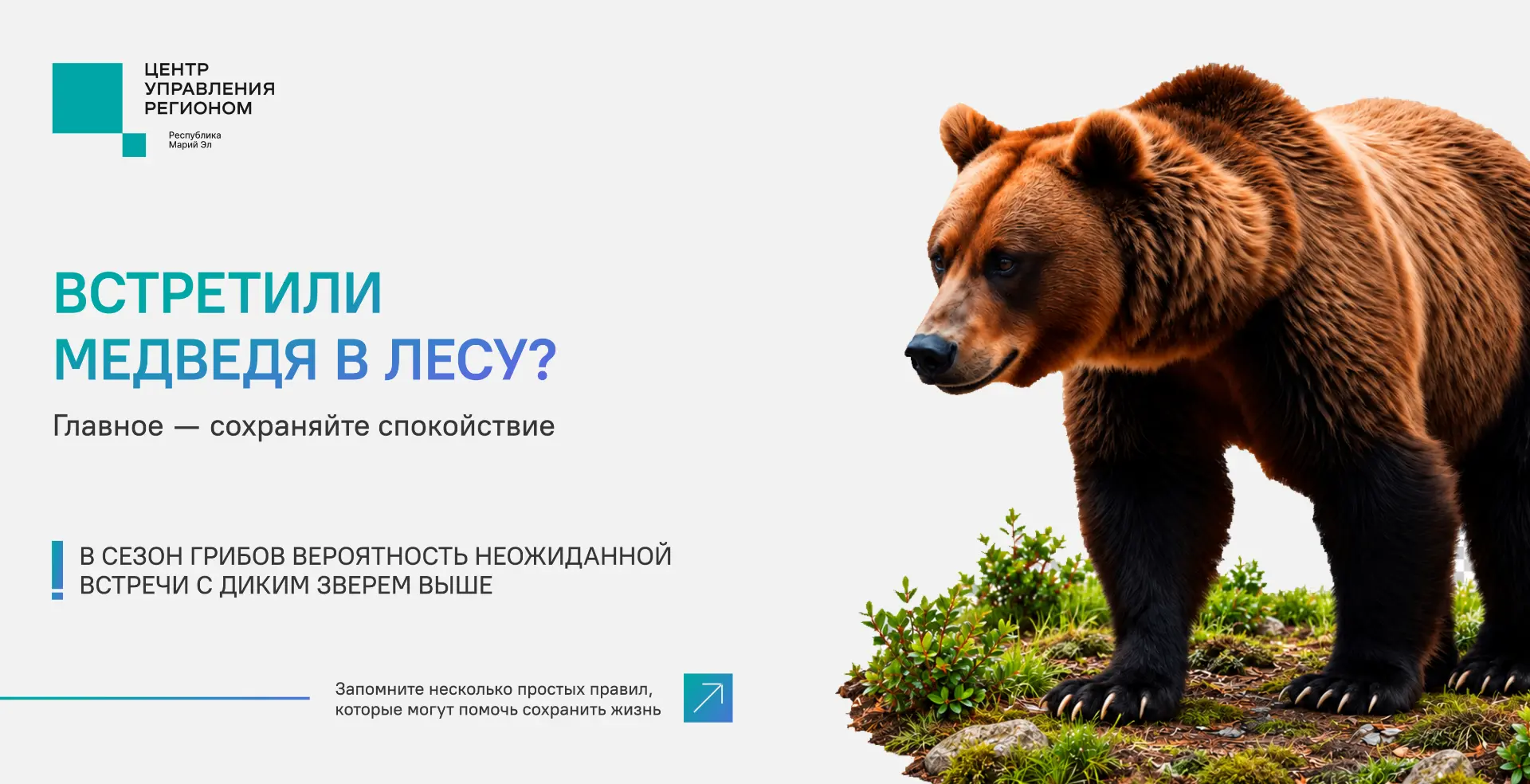 Жители всё чаще замечают медведей рядом с населёнными пунктами. Важно сохранять спокойс...