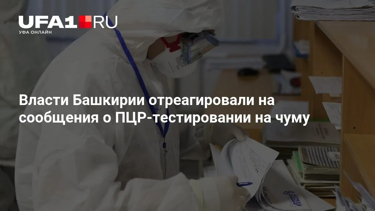 В Башкирии объяснили, зачем делают ПЦР-тесты на чуму