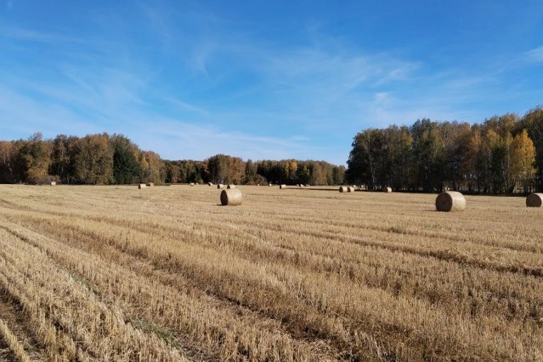 АгроВестник. Полеводство