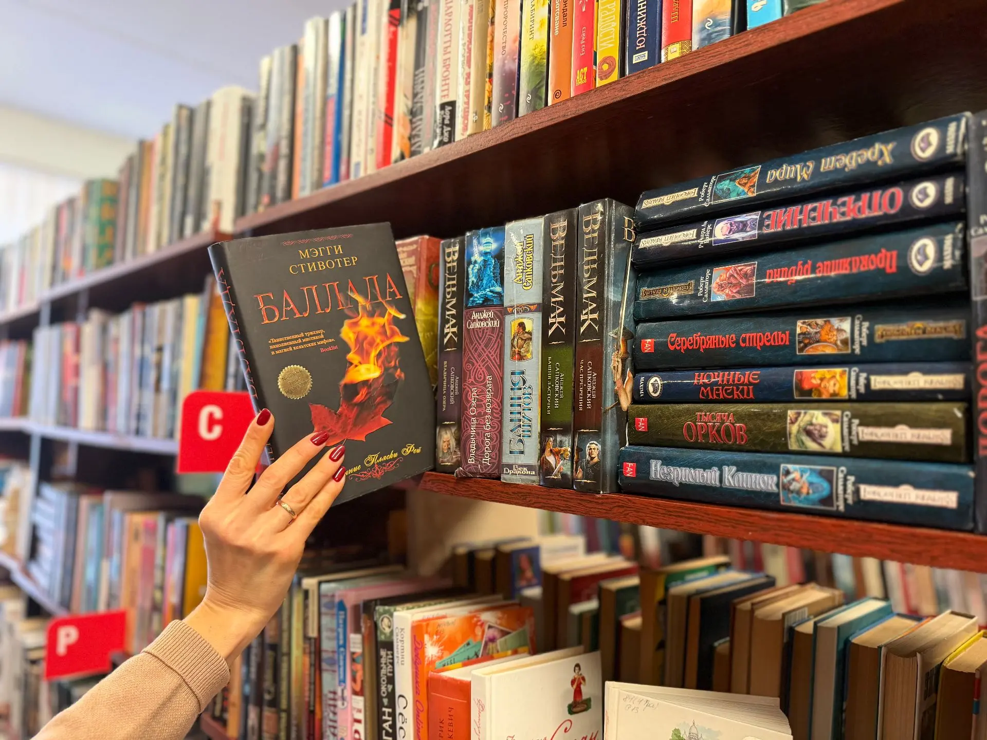 Книга Мэгги Стивотер «Баллада» — это завораживающий мистический триллер, сотканный из д...