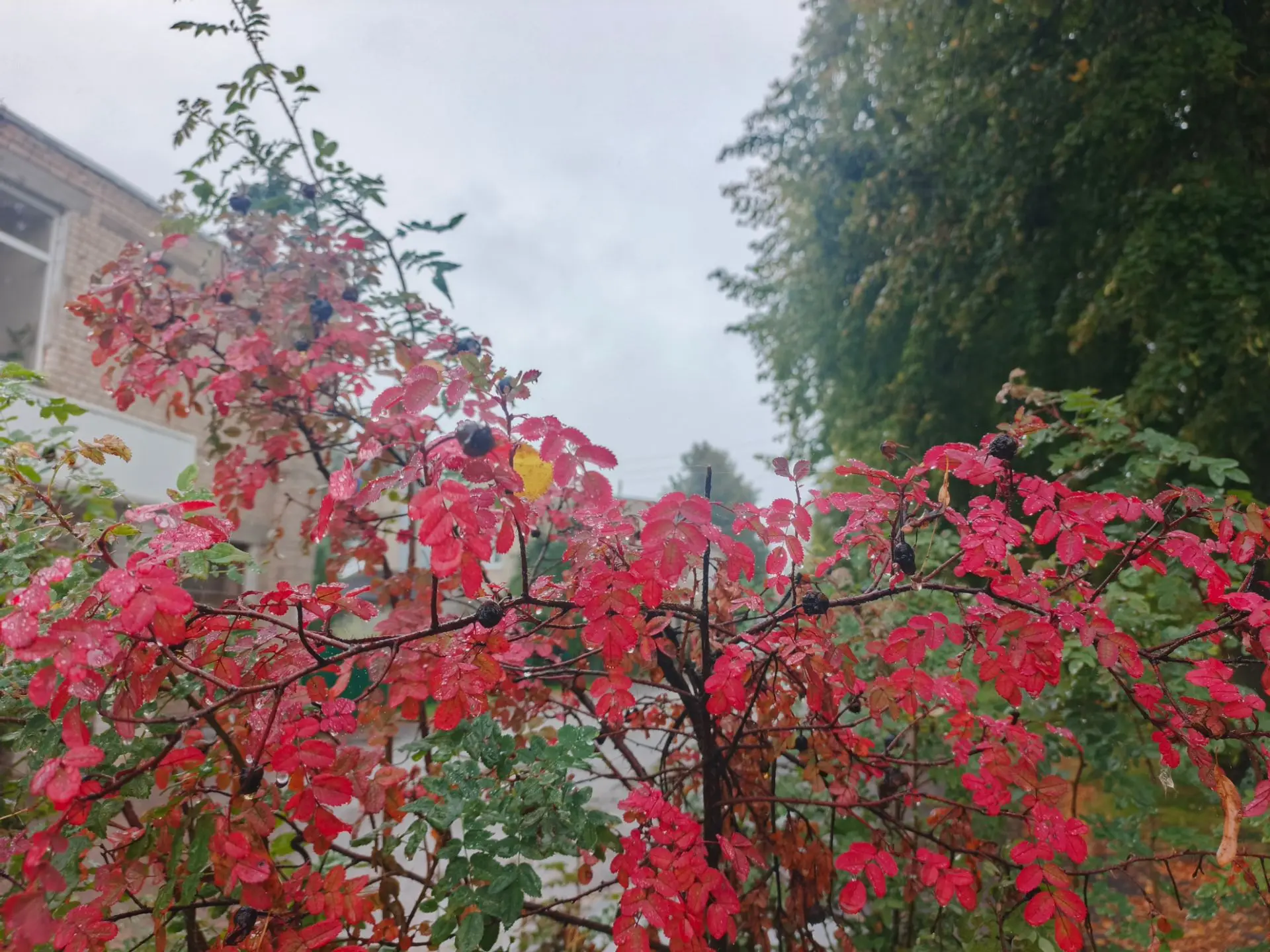 🍁🍂🌦️Это было в сентябре...