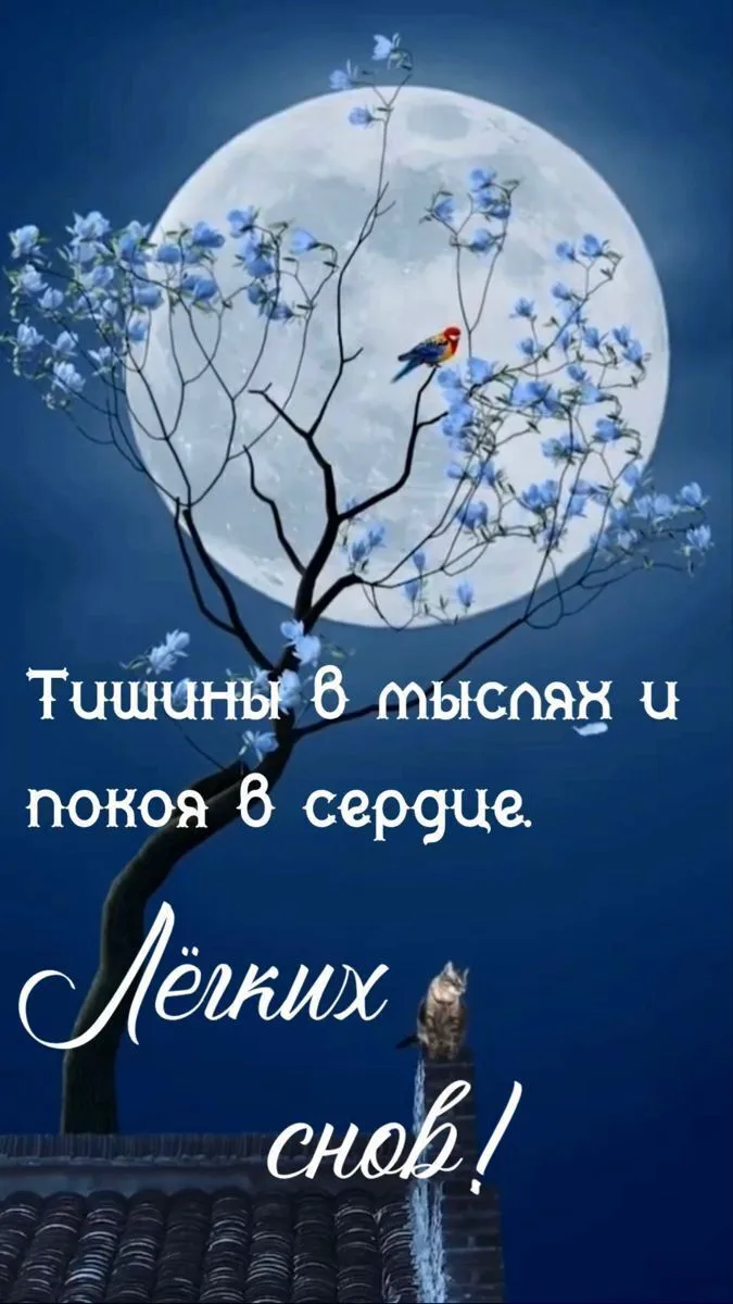 ✨Ждем ваши реакции✨
