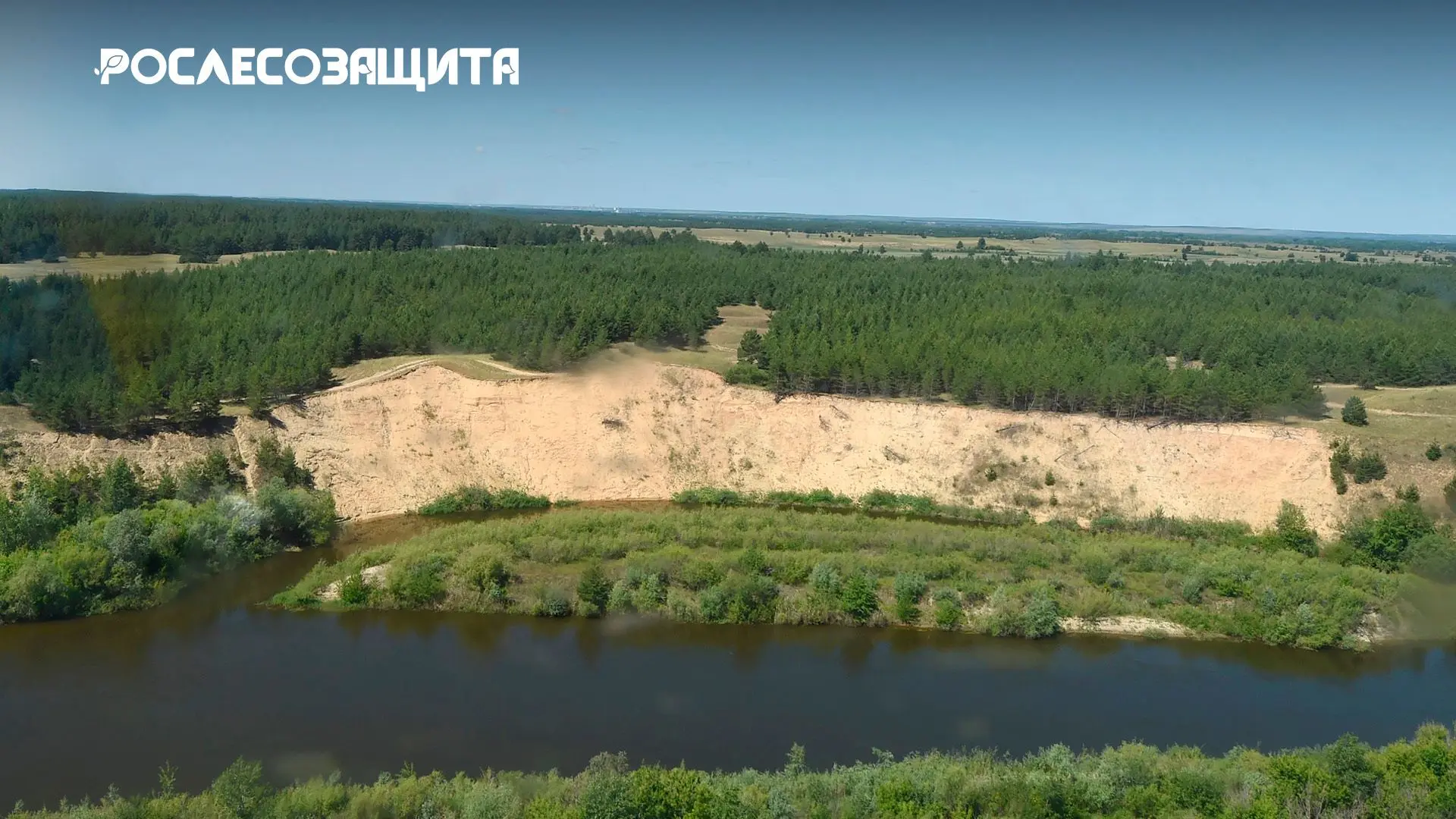 Волгоградский филиал Рослесозащиты проанализировал итоги дистанционных наблюдений по тр...