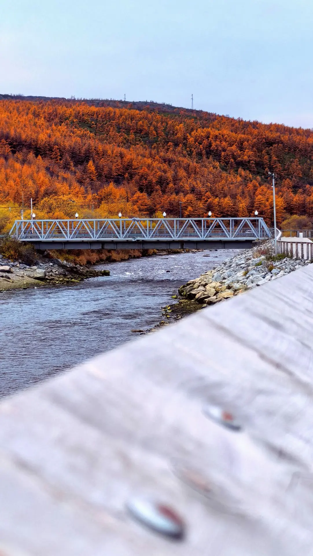 🍂Золотая Колыма 🍁
