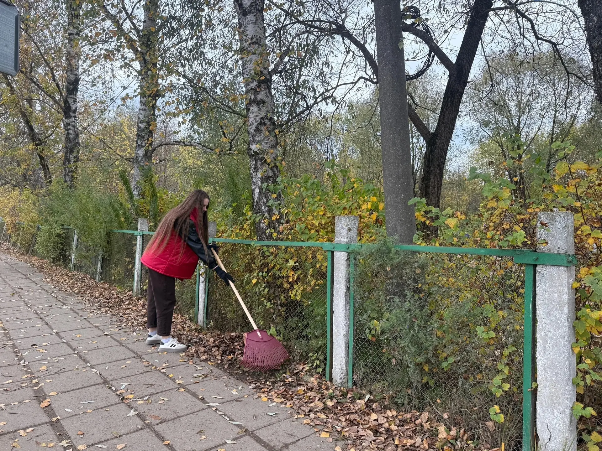 🍂 Делаем Вязьму чище вместе! 💚