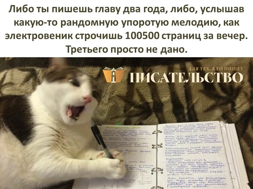 #назлобудня