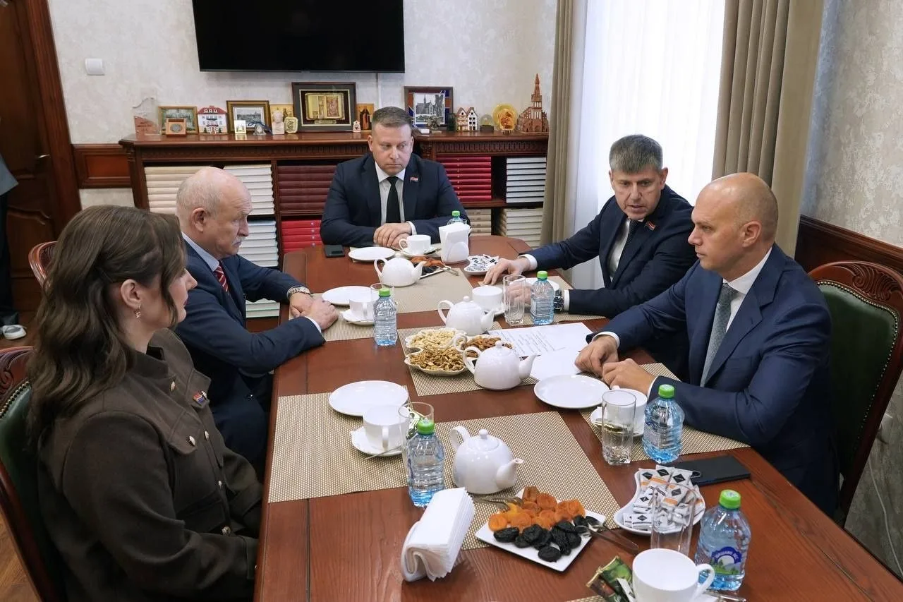 🇷🇺 ЛДПР обозначила приоритеты в бюджете: газификация, мелиорация и поддержка муниципа...
