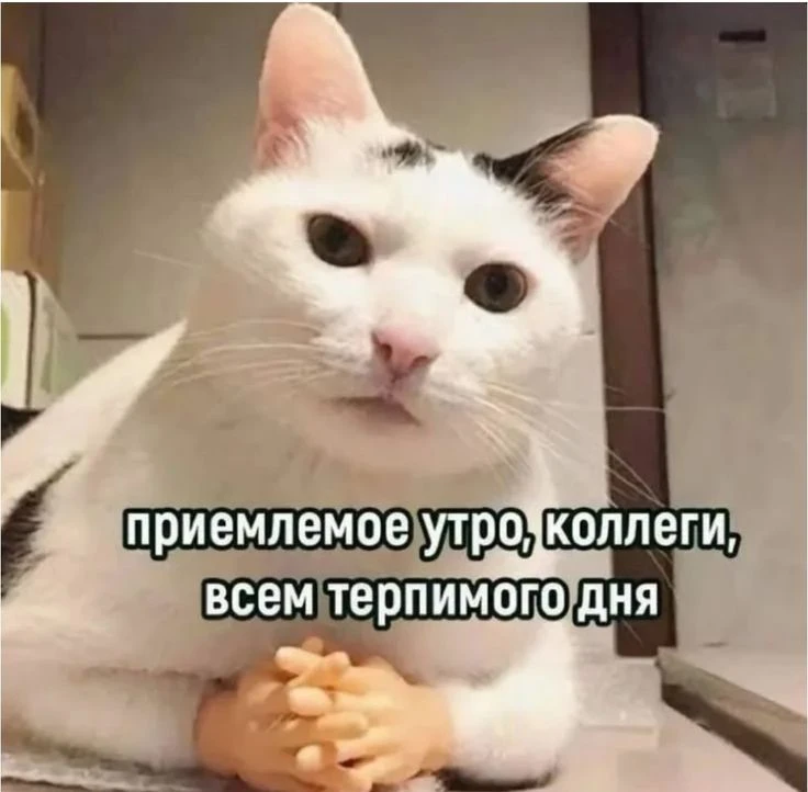 Доброе утро … 🤪