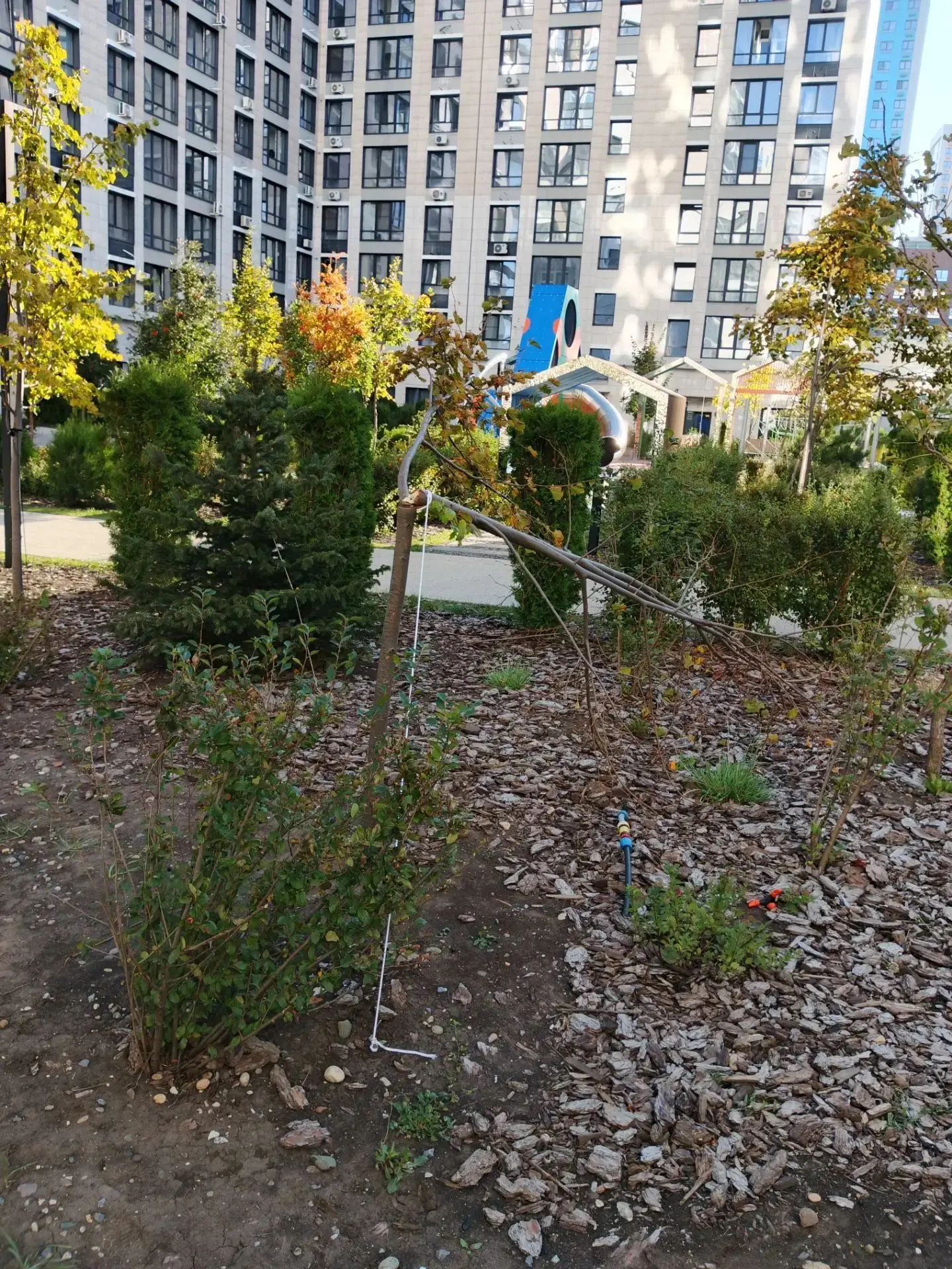 🏡 ЕЖЕНЕДЕЛЬНЫЙ ОТЧЁТ О РАБОТЕ УПРАВЛЯЮЩЕЙ КОМПАНИИ