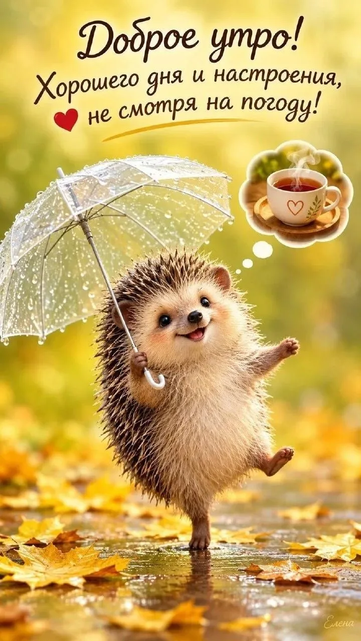 Всем самого доброго утра и самого лучшего дня 🙏❤🙏🌺💋🫂💝💞🌺🎉🌼🥰