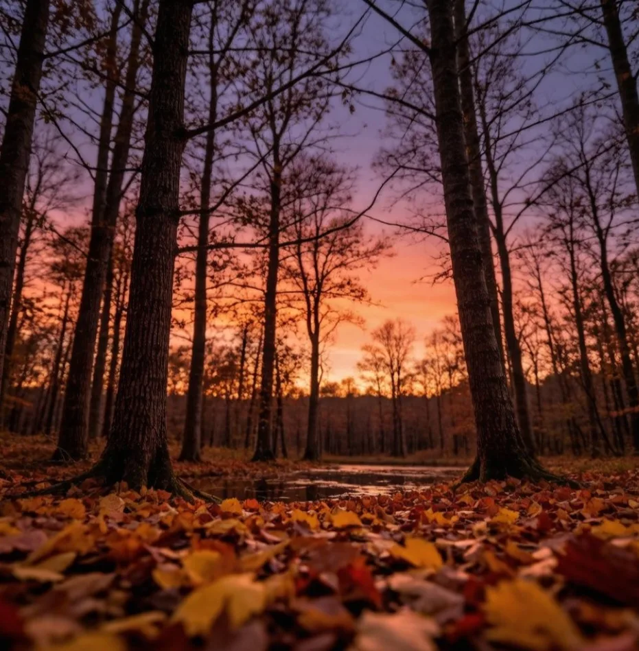 🍂 Приятного вечера, дорогие друзья ❤